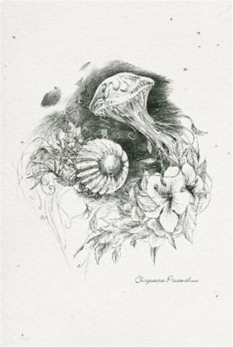 piscanthus postcard(Jelly) | Mora's Ark