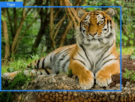 Computer Vision Task Example 的图像结果