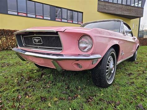 Pink Mustang