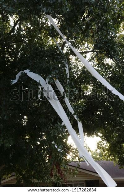 Image result for Exploding Tree Prank