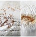 embroideries 的图像结果