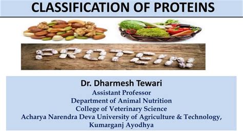 Image result for Protein Classification