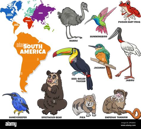 educational illustration of cartoon South American animals set Stock ...