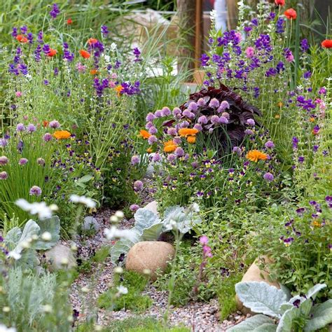 21 Cottage Garden Perennials Ideas Worth to Check | SharonSable