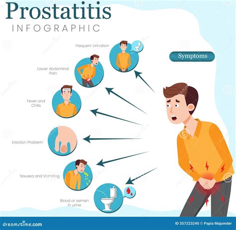 Infographic Of Prostatitis Symptoms, Prevention, And Treatment Illustrated Vector Illustration ... - problems with prostate symptoms