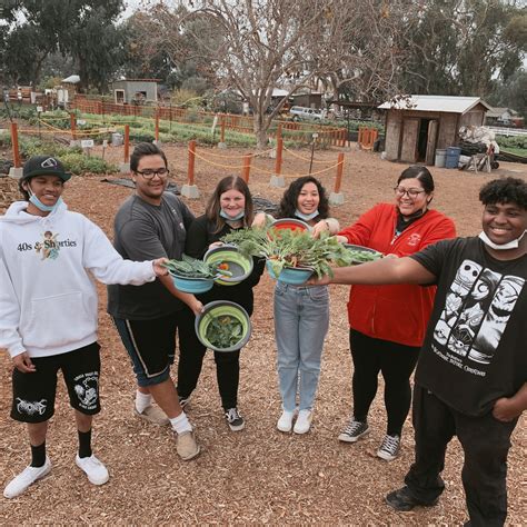 Field Trips - Coastal Roots Farm