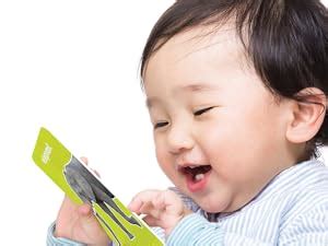 Buy Skillmatics Flash Cards Combo - Animals & Letters, Montessori ...