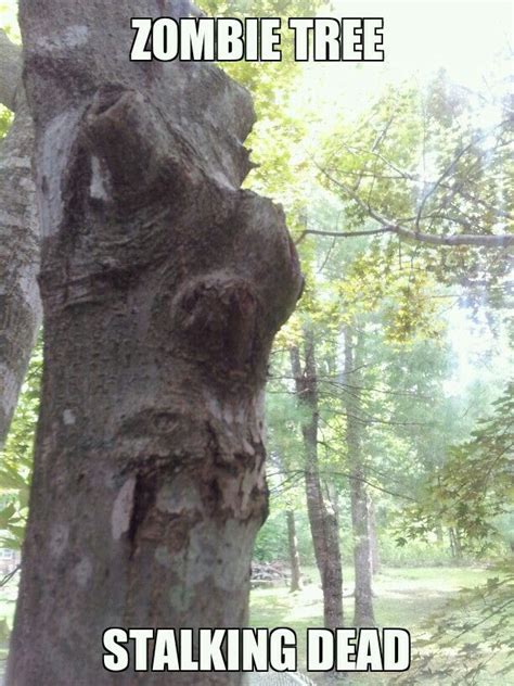 Image result for Sneaking around Tree Meme