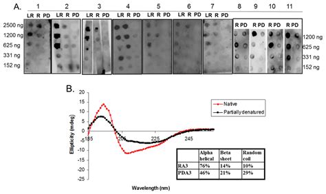 Contribution of Chemical Modifications and Conformational Epitopes to ...