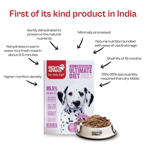 Right4Paws • Right4Paws