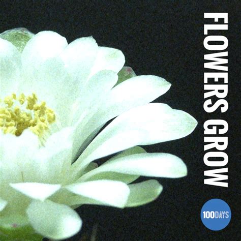 100 Days Song 的图像结果