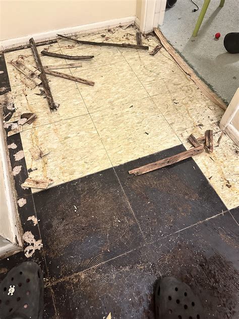 Asbestos mastic? Remove or paint and tile over it? : r/Flooring