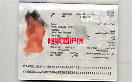阿联酋护照样本_QQ:243010168办理驾照样本图片|护照样本图片|身份证ID样本照片