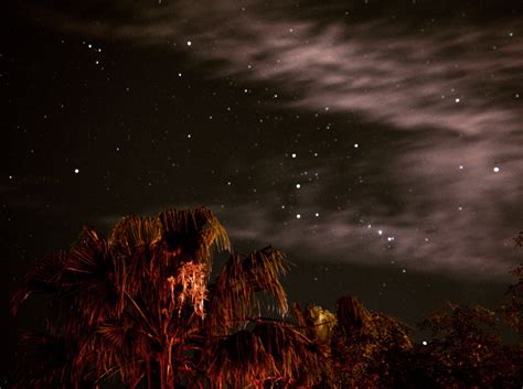 photography led lighting reviews