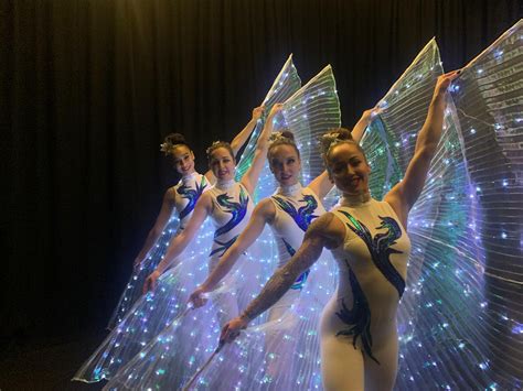 Image result for LED Light Show Program