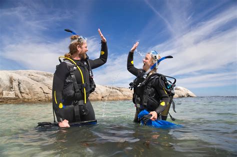 Scuba Diving 的图像结果