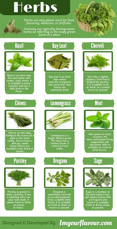 Facts About Herbs