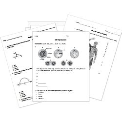 Image result for Word Processing Questions