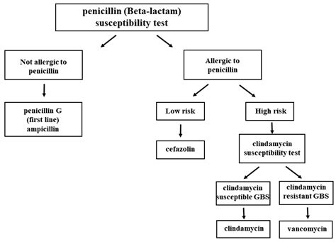 Updates on Group B Streptococcus Infection in the Field of Obstetrics ...