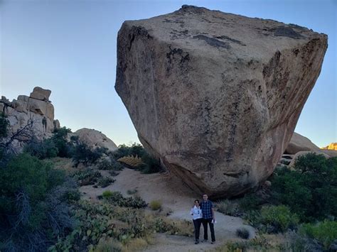 Joshua Tree Excursions - 2021 What to Know Before You Go (with Photos ...