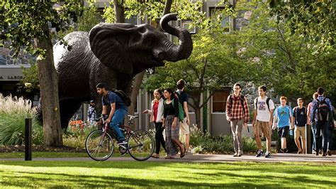 How to Write the Tufts Supplemental Essays (with Examples!) [UPDATED ...