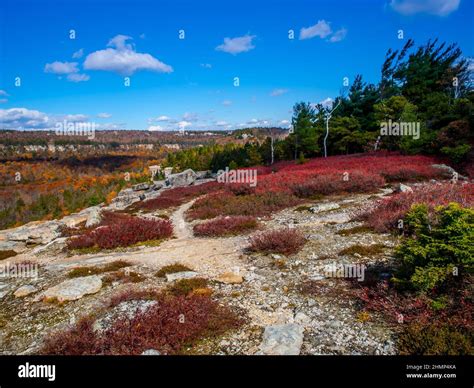 Fall views of the Shawanagunk Mountains, New Paltz, NJ USA. The Gunks ...