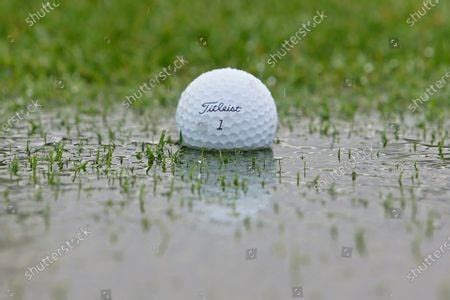 Image result for Golf Course Back Open
