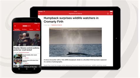 The BBC News app gives you the best of BBC News wherever you are - BBC News