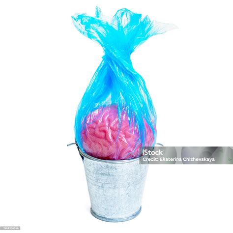 Image result for Storage of Waste Brain Map