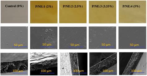 Development and Characterization of Pectin-Based Antimicrobial ...