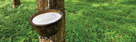 MM FOAM Dexxa Pillow - 100% Natural Latex,Breathable,Anti-Slip,3.75 ...