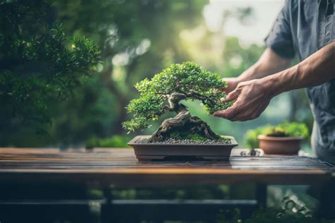 Issuance of updated Master Direction – Foreign Investment in India ...