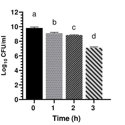 Image result for Enterococcus Faecalis Hemolytic Activity