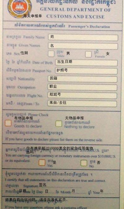 老挝入境卡模板,老挝入境卡,新加坡入境卡填写模板_大山谷图库