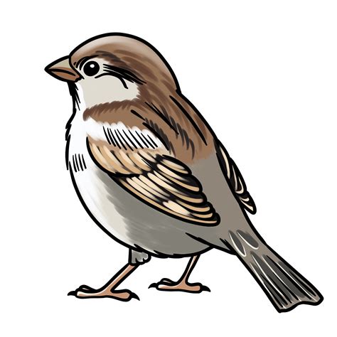 Simple Sparrow Outline