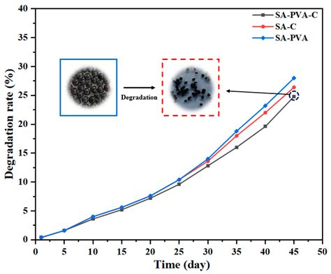 Antibacterial Effect of Polyvinyl Alcohol/Biochar–Nano Silver/Sodium ...