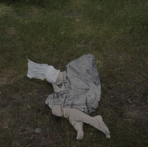 Anthropic Object 的图像结果