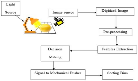 Lemon Grading and Sorting Using Computer Vision