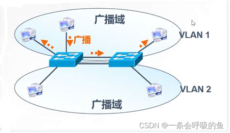 什么是vlan？华为交换机常用的三种vlan划分方法 - 知乎