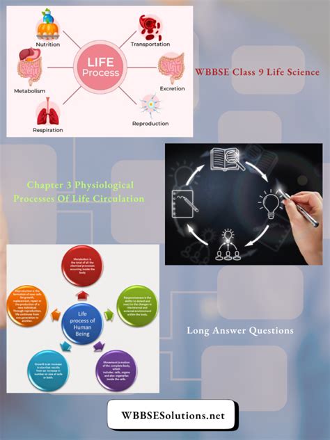 Image result for Class 9 Life Process Introduction