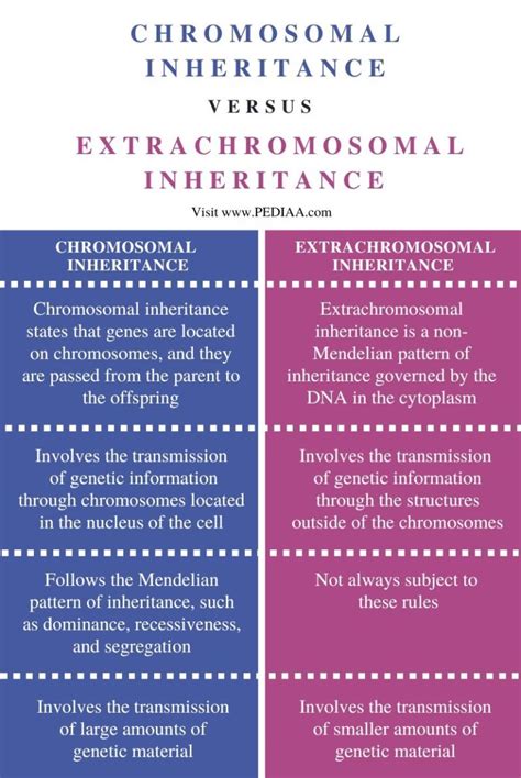 Difference Between Genetics or Inheritance 的图像结果