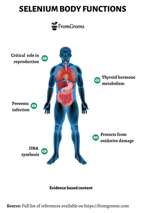 Image result for Selenium Function