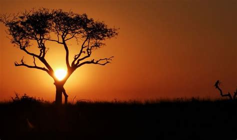 dslr settings for fireworks photography