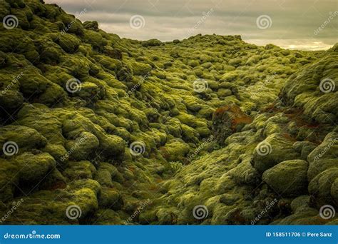 Eldhraun Lava Field stock photo. Image of extreme, cracked - 158511706