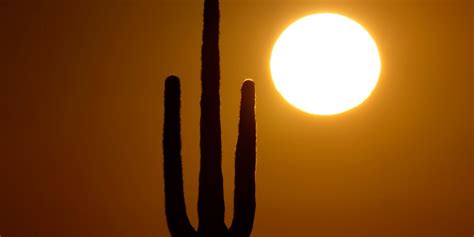 July has been so blistering hot, scientists already calculate that it’s ...