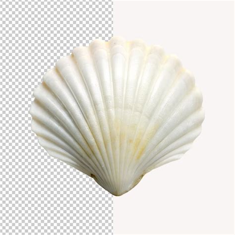 Image result for Linux Shell White Background