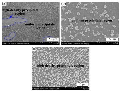 Multimodal Microstructure and Mechanical Properties of AZ91 Mg Alloy ...