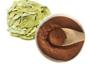 Boerhavia Diffusa Root Extract Manufacturer and Supplier from Palghar ...