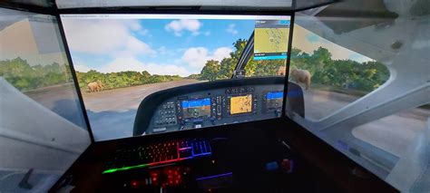 Using Multiple Monitors with Microsoft Flight Simulator 的图像结果