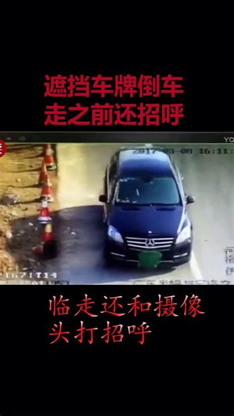 为什么车牌号不选4和7？车牌尾号7好还是9好？_水墨先生